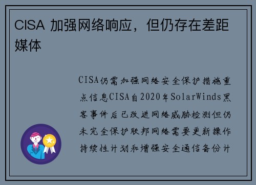 CISA 加强网络响应，但仍存在差距 媒体